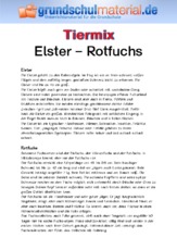 Elster - Rotfuchs.pdf